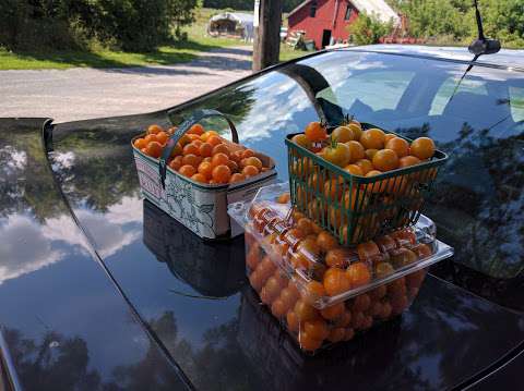 Wiseacres Organic Farm